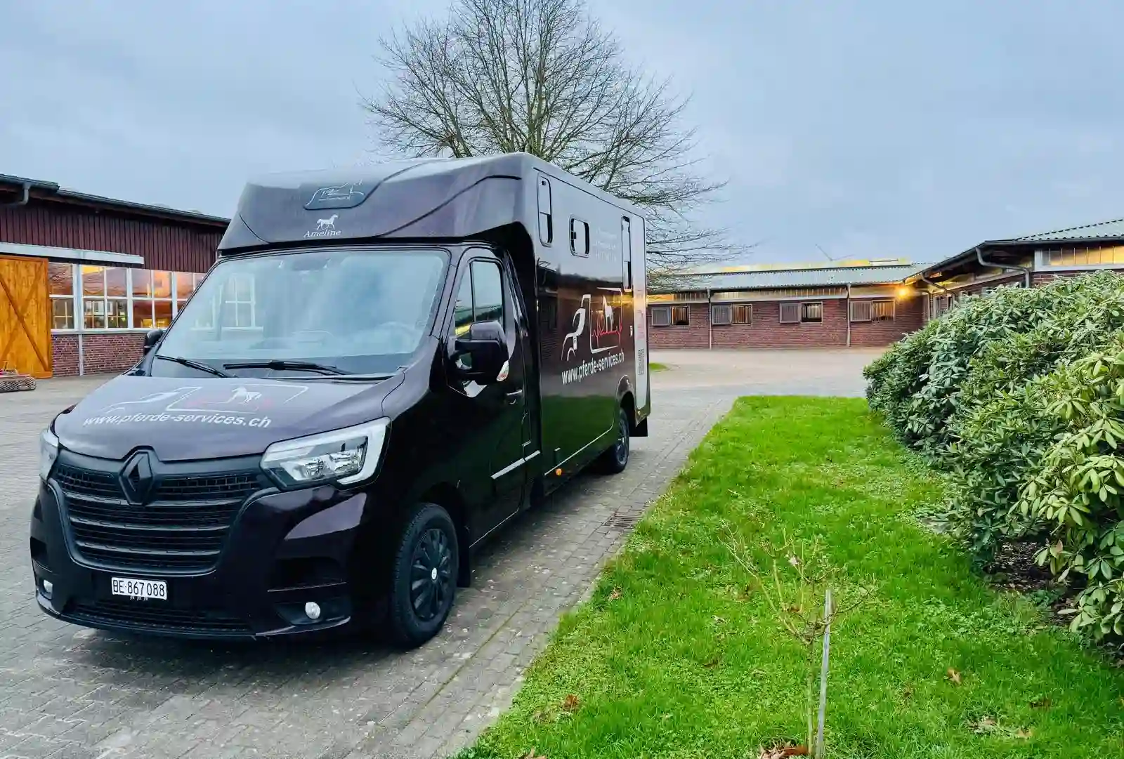 Renault Master Pferdetransporter von Pferde Services