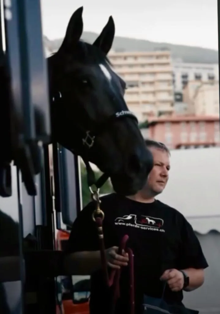 Inhaber mit Pferd beim Verladen
